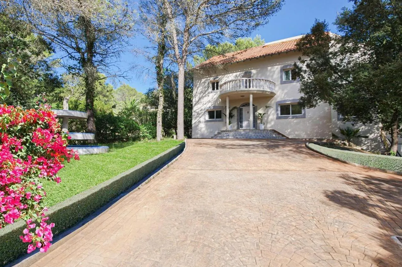 Villa Magna contacts